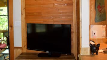 TV, DVD player, books, video library