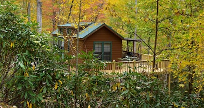 The Junction-backwoods tiny home on brook trout stream with mountain ridge view