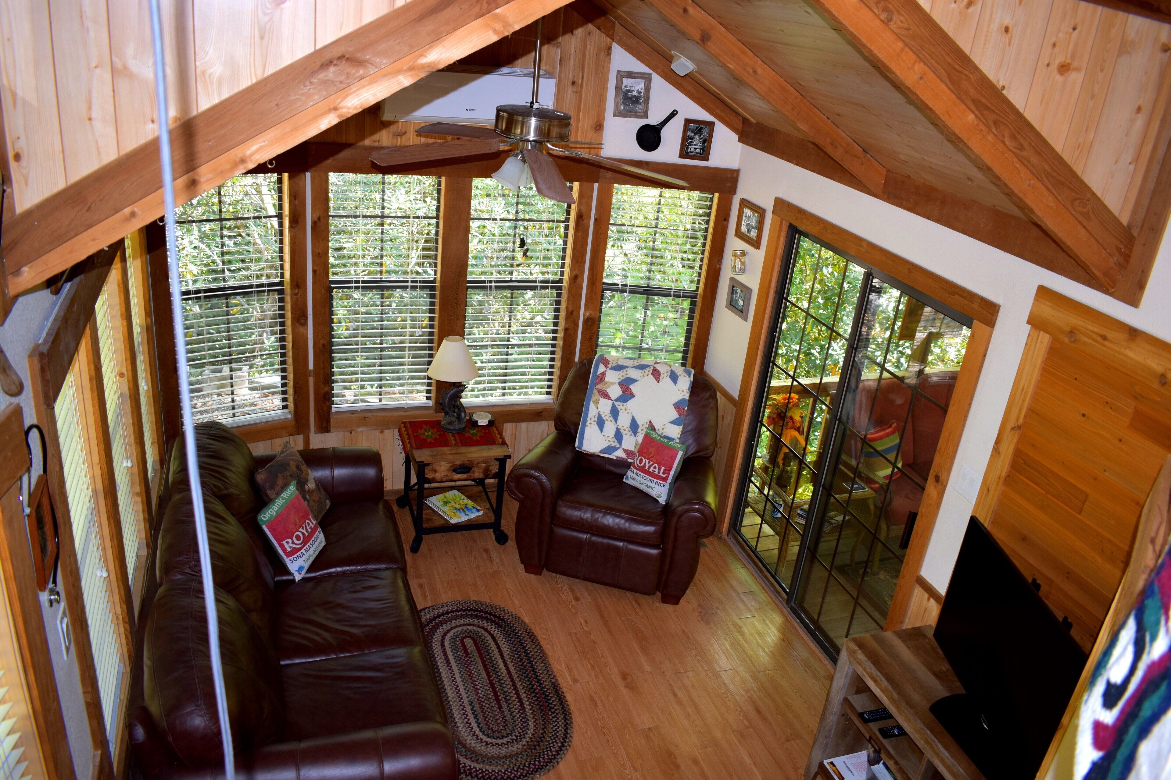 TV, DVD player, books, video library
