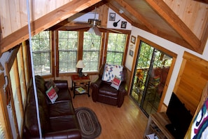 TV, DVD player, books, video library - The Junction-backwoods tiny home on brook trout stream with mountain ridge view (Robbinsville)