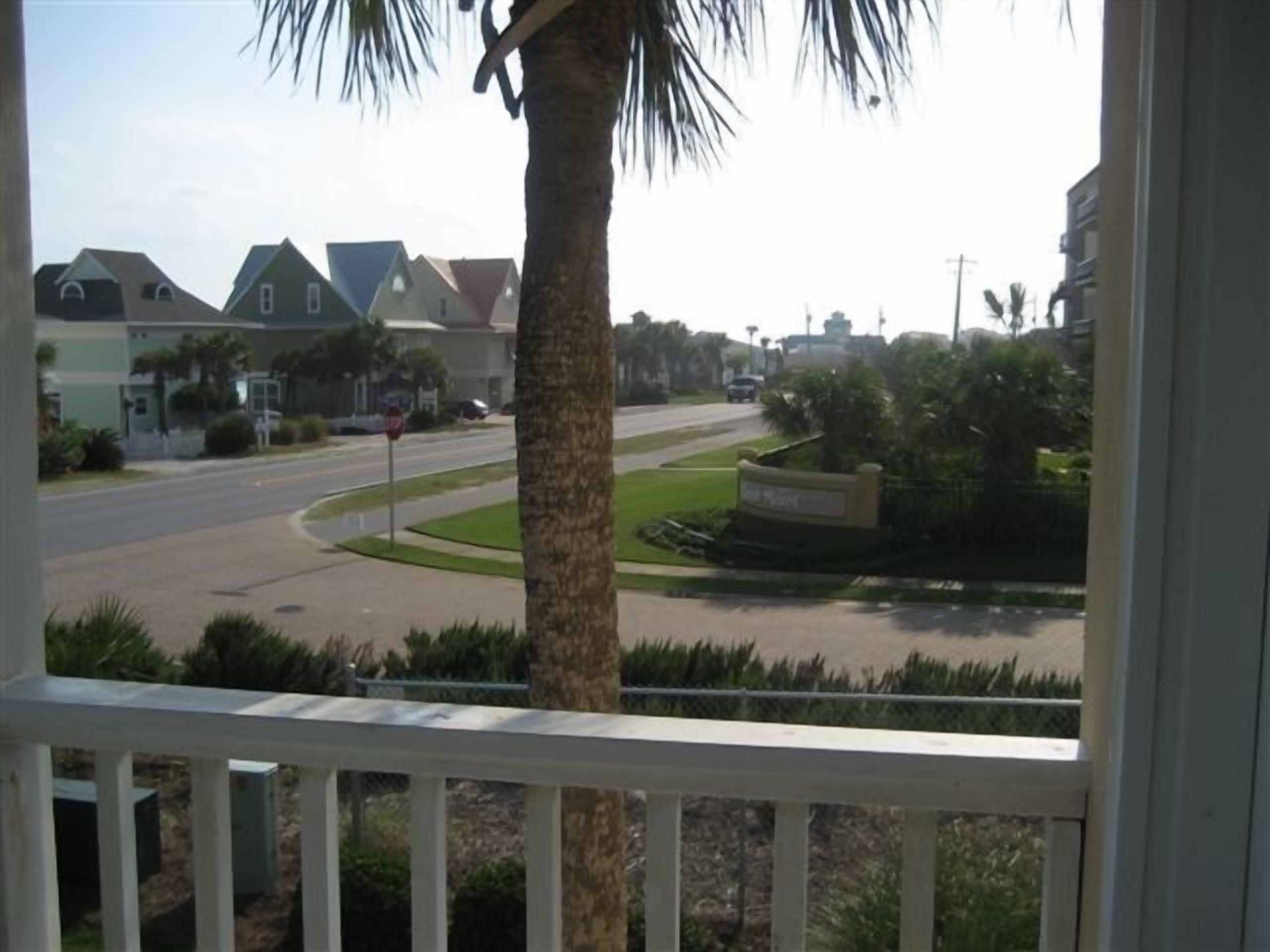A residential street with houses, a palm tree, and a stop sign.