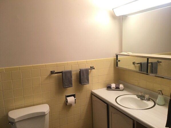 Une salle de bain équipée d’un WC, d’un lavabo, d’un miroir et d’un porte-serviettes.