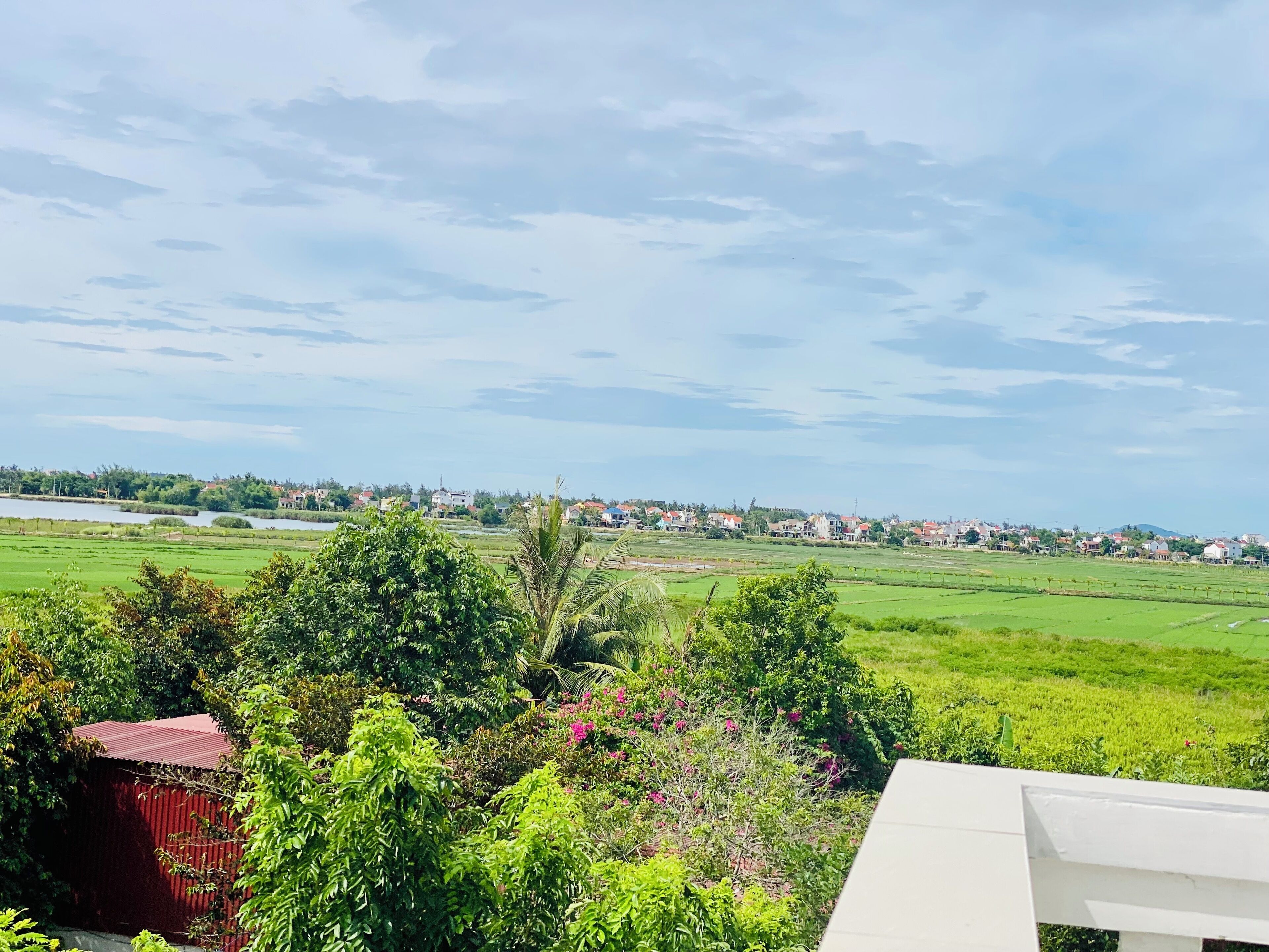 Garden view