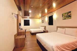 Escritorio, tabla de planchar con plancha, wifi gratis y ropa de cama