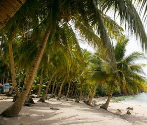A beach with palm trees and a clear view of the ocean. - Gana Siargao Island Resort (General Luna)