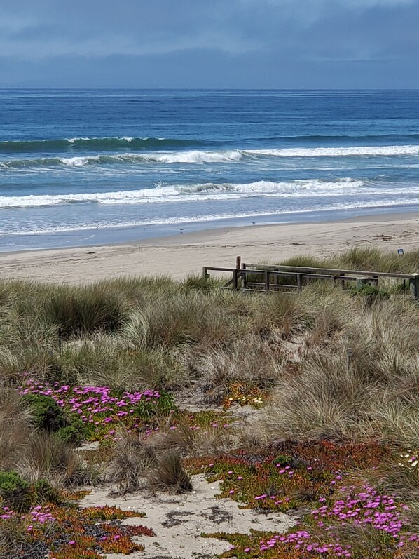 Plage, chaises longues, serviettes de plage