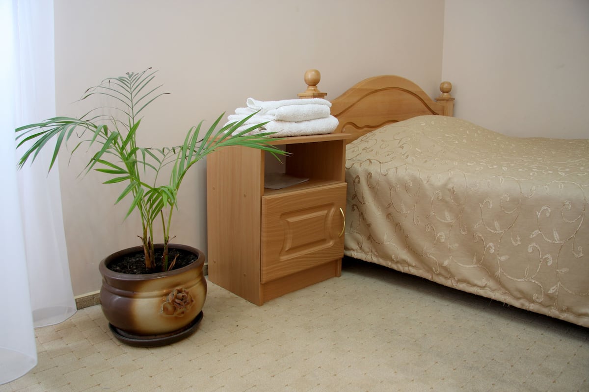 Un dormitorio con cama, una mesita de noche de madera, una planta en maceta y una mesita junto a la cama.