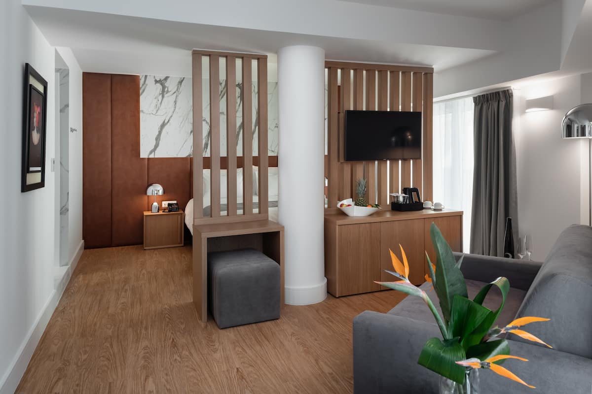 A modern hotel room with a wooden partition, a flat-screen TV, a grey sofa, and a small table with a plant.