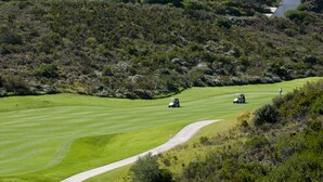 A golf course with a winding path and two golf carts. - Villa 5 (Knysna)