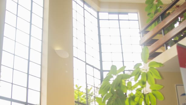 A staircase with wooden railings and beige steps, leading to a landing with a large window and a potted plant. - LIA Hotel & Training Centre (Nairobi)