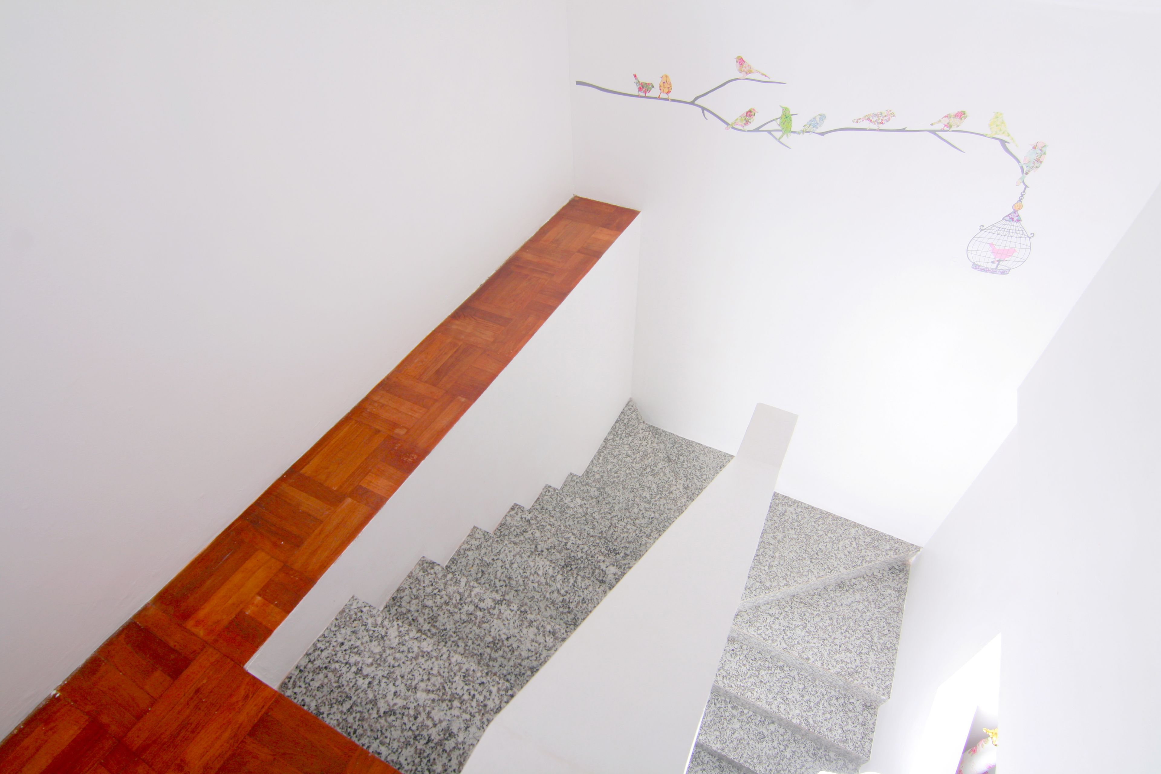 Una escalera con escalones de madera y granito, paredes blancas y un adorno de aves en una rama.