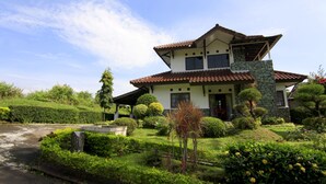 Ein zweigeschossiges Haus mit einer Steinaußenwand, einem Ziegeldach und einem gepflegten Garten mit verschiedenen Sträuchern und einem kleinen Baum.