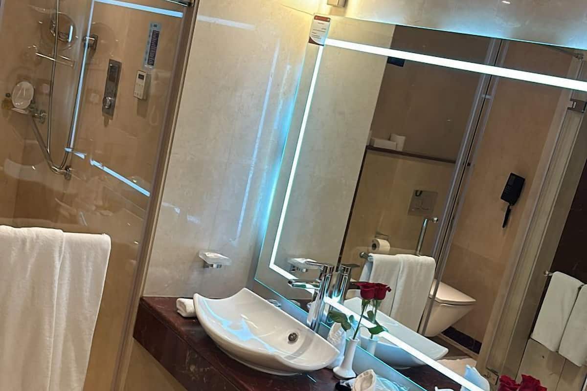 Hair dryer, bidet, towels