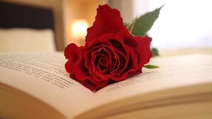 An open book with a red rose placed on top. - Gästehaus Edelweiss (Soelden)