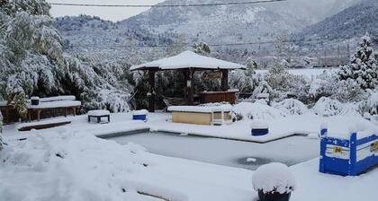 Les Bambous B&B