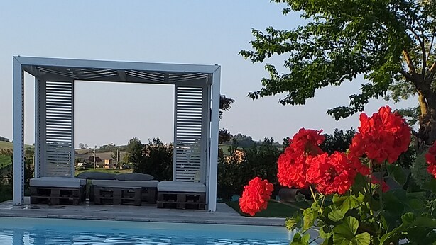 Una piscina con una piedra blanca y una maceta de terracota con flores rojas.