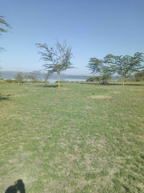 Jardín