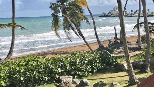 A beach with palm trees, ocean waves, and a distant building. - Spectacular  Ocean Front 1 Bedroom Villa in Golf community, Pal mas Del Mar  (Palmas Del Mar)