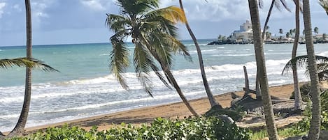 Am Strand, LiegestĂŒhle, StrandtĂŒcher