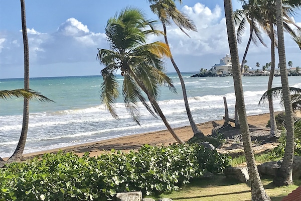 View from the Balcony