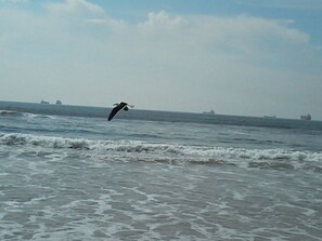 Platja