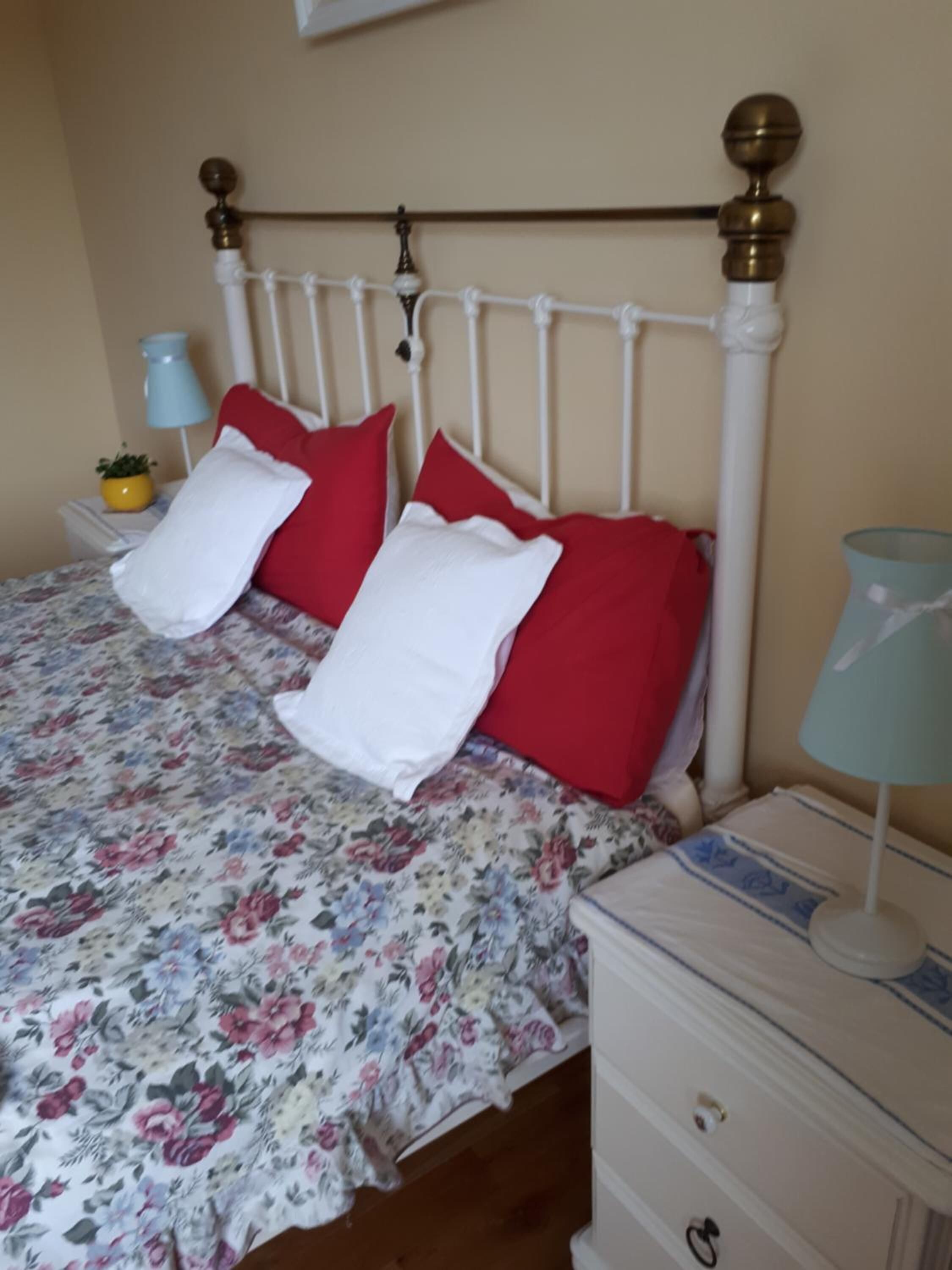 A bed with a white headboard, red and white pillows, and a floral bedspread. There is a bedside table with a lamp and a small plant.