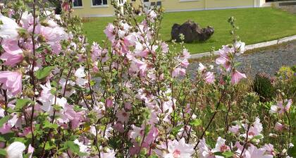 Tullaleagan Guesthouse