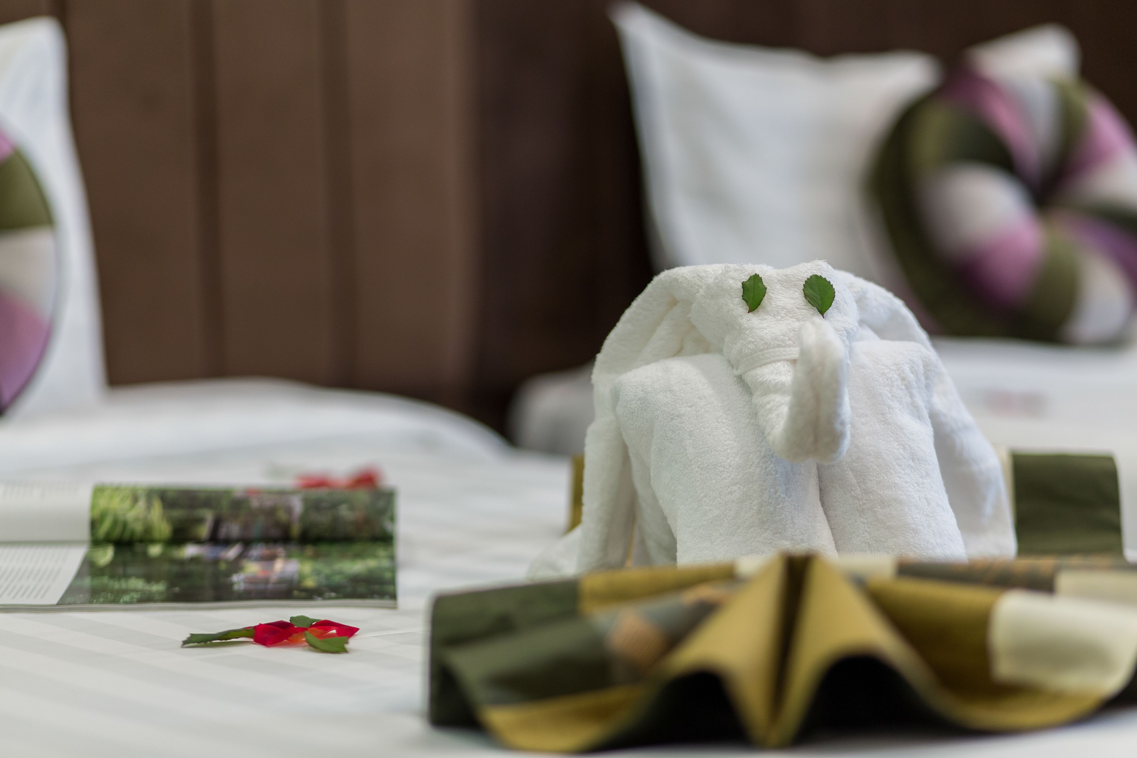 Foto - Splendid Pearlight Hanoi