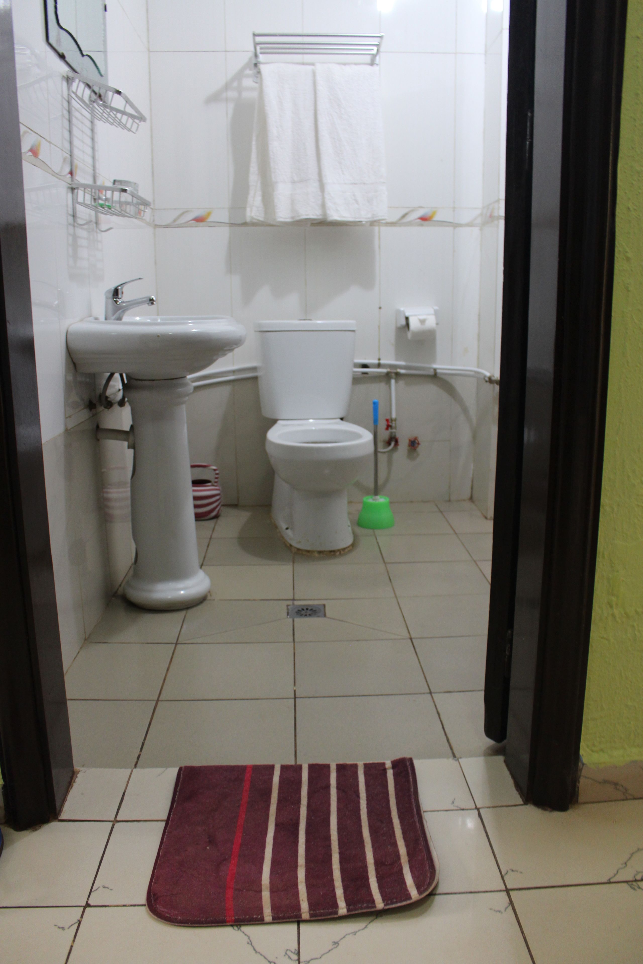 A bathroom with a pedestal sink, toilet, and a green cleaning brush.