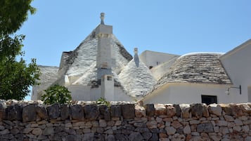 Vista al jardín