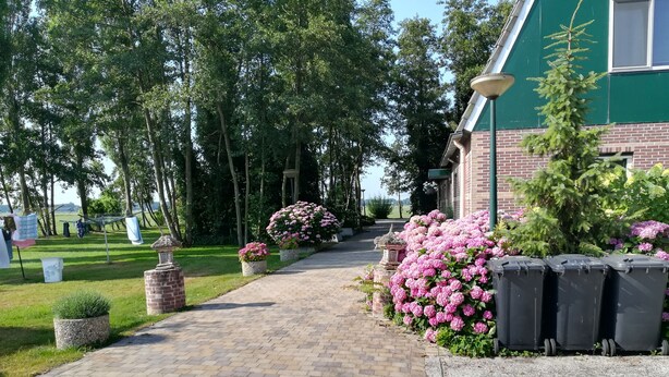 Un sendero pavimentado que conduce a un edificio de ladrillo con detalles en verde.