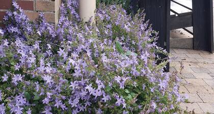 AMSTERDAM COUNTRY AREA 15 MINUTES FROM CENTER APARTMENT ON THE GROUND FLOOR