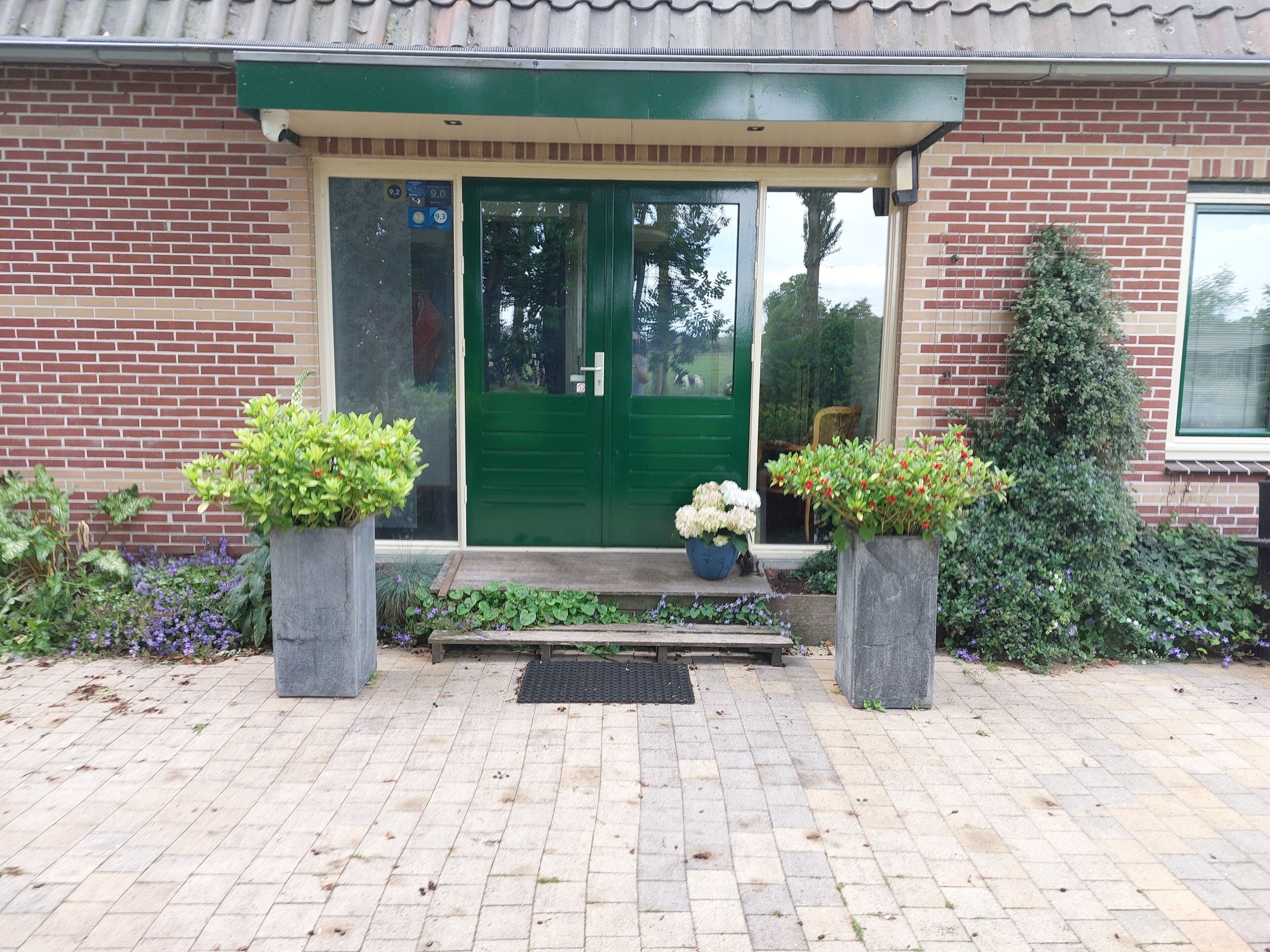 تفاصيل الفندق من الخارج