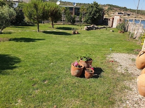Jardin