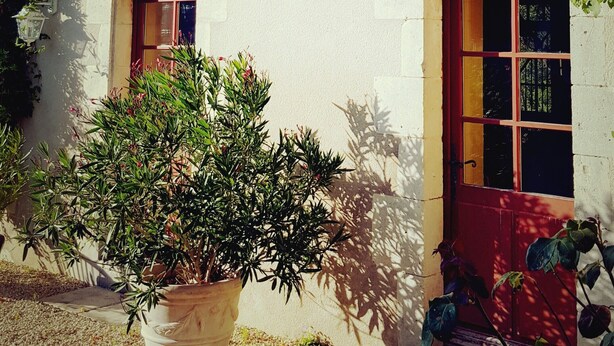 Ein zweistöckiges Gebäude mit Holzh shutters, einem Blumentopf im Vorbereich und einem Kiesgrundstück.