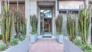 Entrada de un edificio con cactus altos y un letrero que dice "Sack".