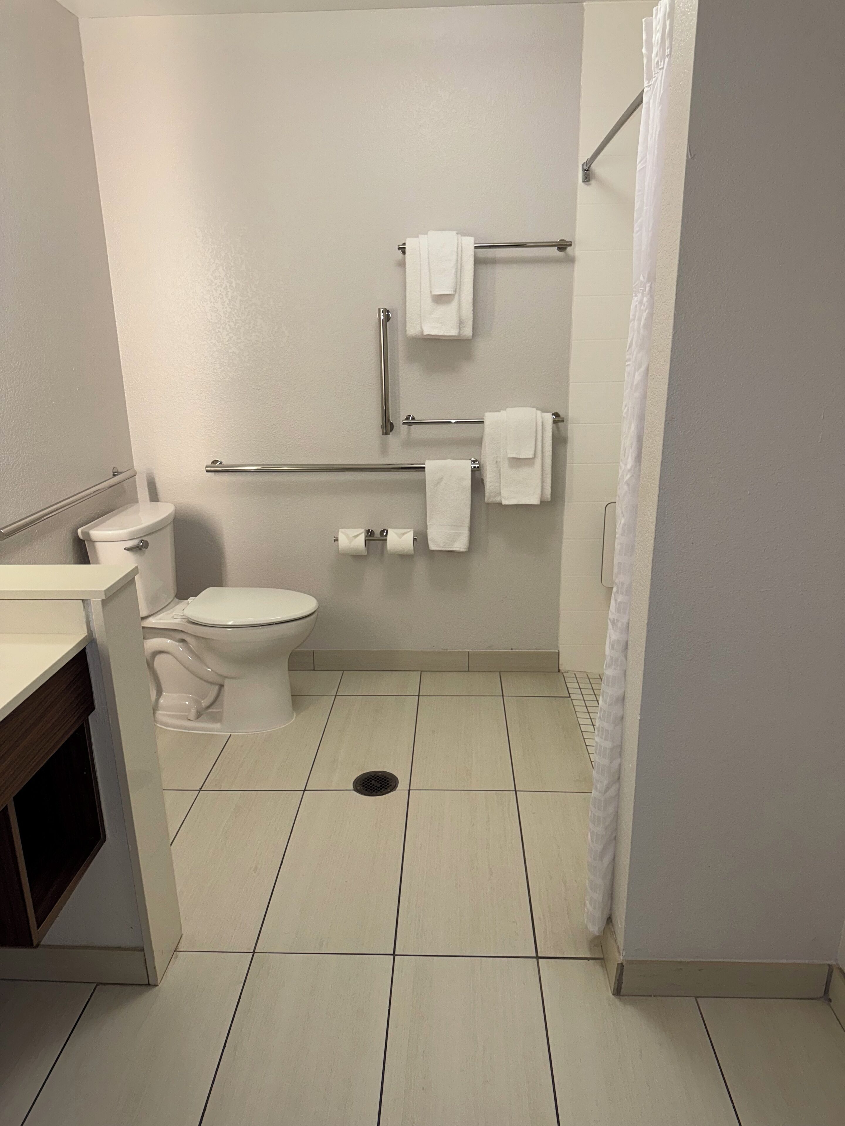 A bathroom with a toilet, a sink, and a shower curtain.