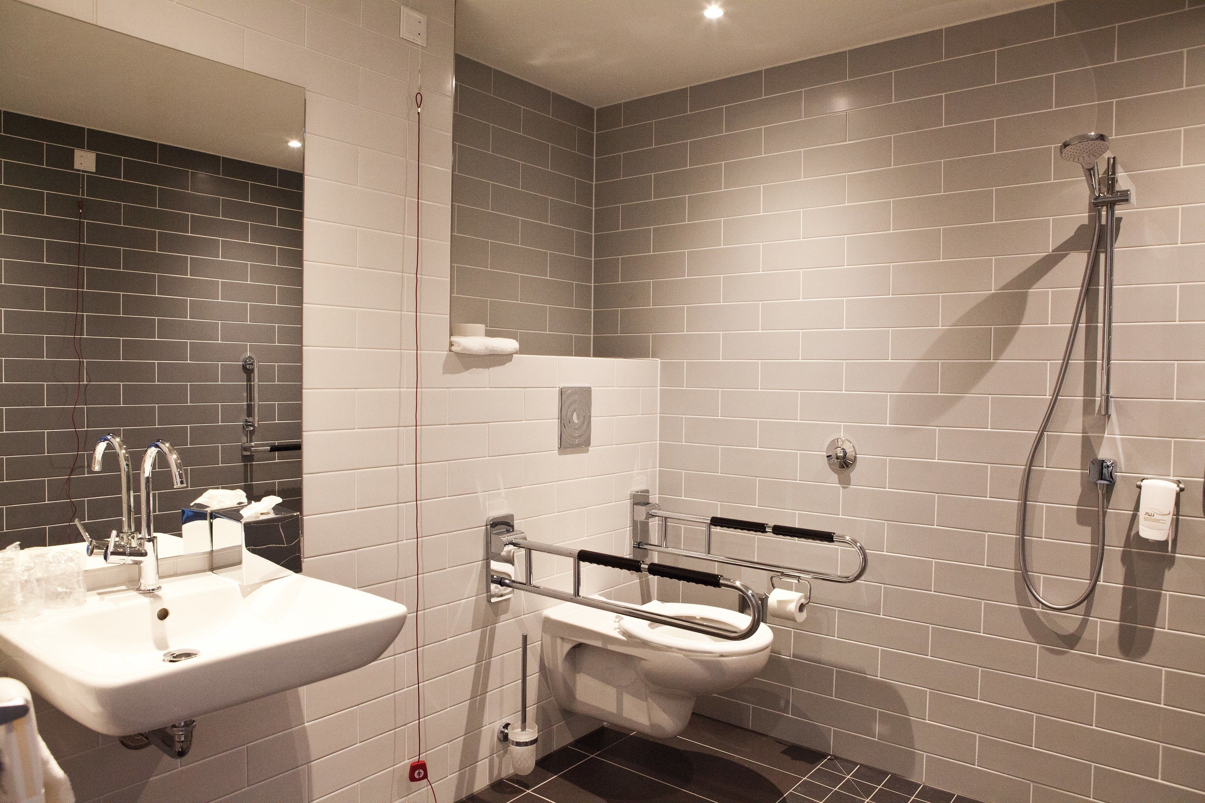 standard room, 1 single bed, accessible | bathroom | shower, hydromassage showerhead, free toiletries, hair dryer
