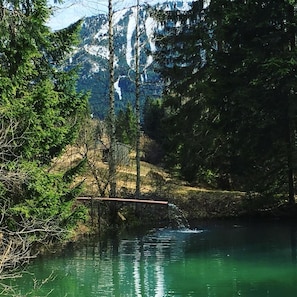 Un lago tranquilo rodeado de un bosque frondoso y montañas.