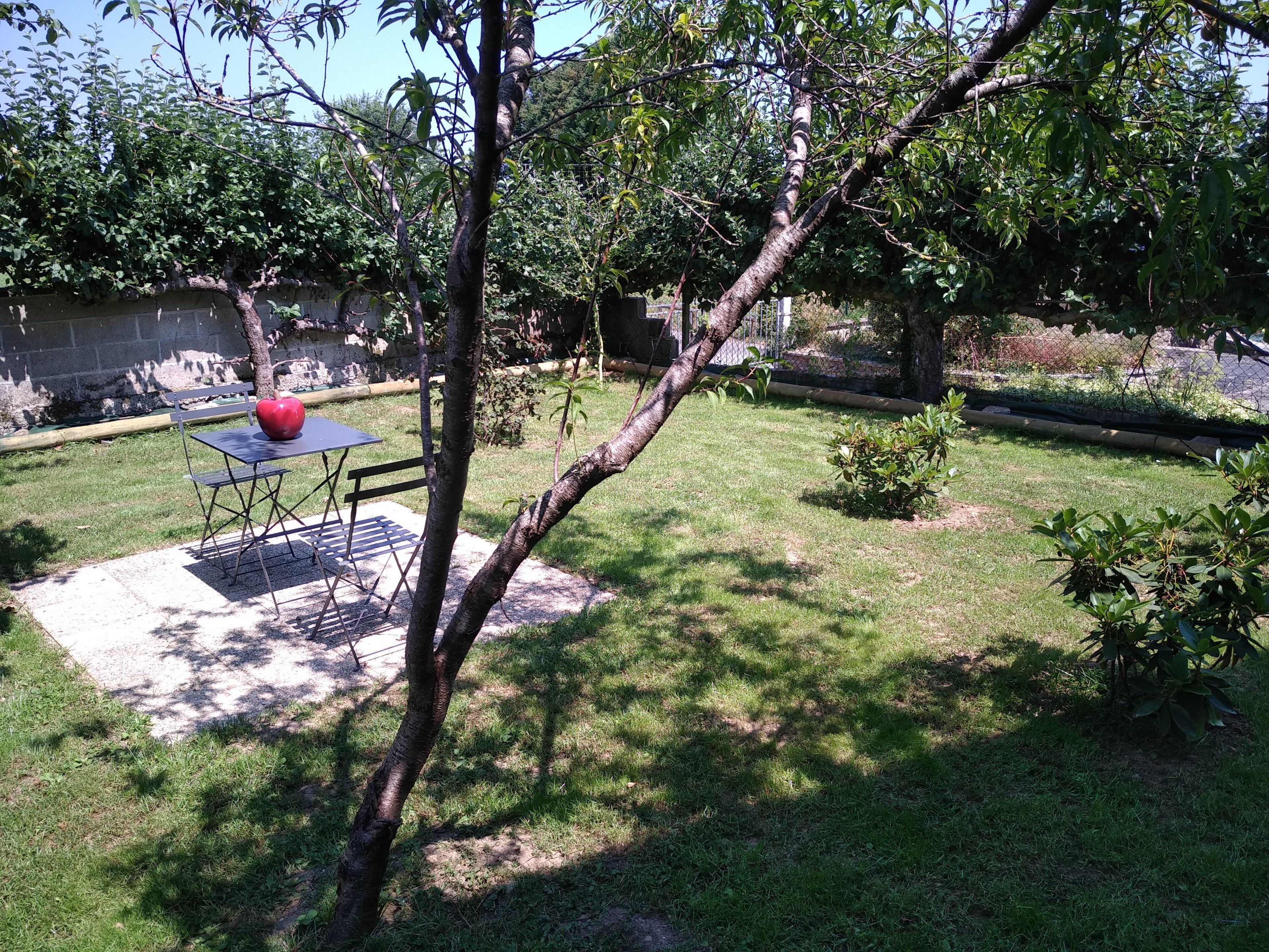 Un patio con mesa y sillas, rodeado de césped y árboles.