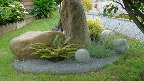 Un jardin avec un arbre, de gros rochers et une fougère.