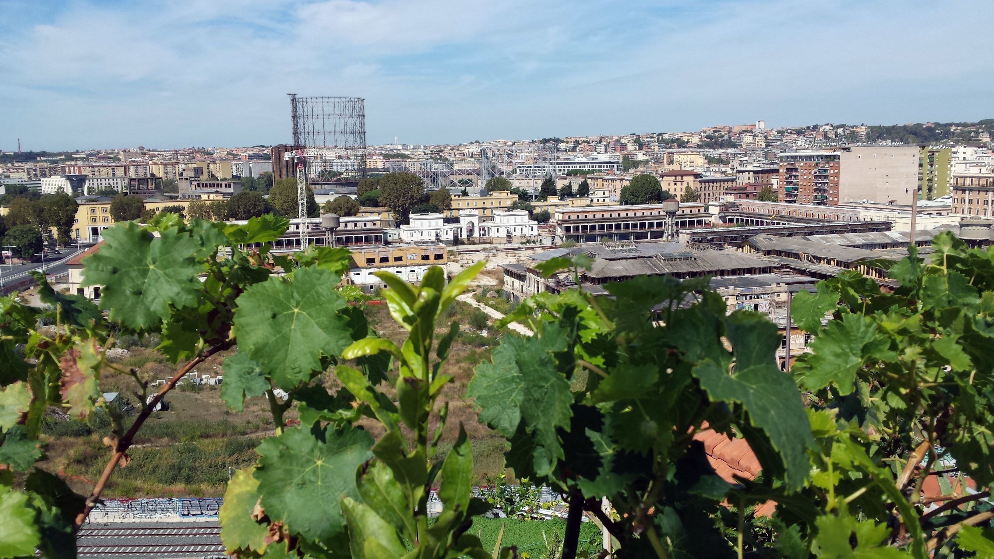 A cityscape with a mix of modern and older buildings, a prominent metal structure, and a vineyard in the foreground.