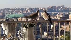 Terrace/patio - Trastevere 2 (Rome)