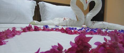 Habitación básica doble, vista al jardín | 6 habitaciones y wifi gratis