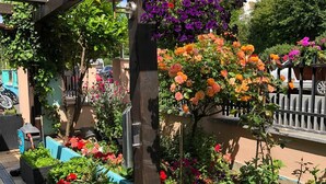 Un jardín con diferentes parterres y una estructura de pérgola.