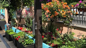 Terraço/pátio