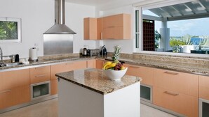 Coffee/tea maker, stovetop, dishwasher, cookware/dishes/utensils - Villa Amaryllis (Lowlands)
