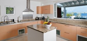 Stovetop, dishwasher, coffee/tea maker, cookware/dishes/utensils - Villa Amaryllis (Lowlands)