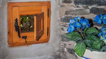 Detalle del exterior
