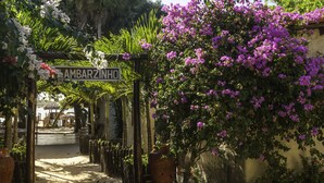 Una entrada de jardín con un letrero que dice "AMBARZINHO", rodeada de abundante follaje y flores moradas.